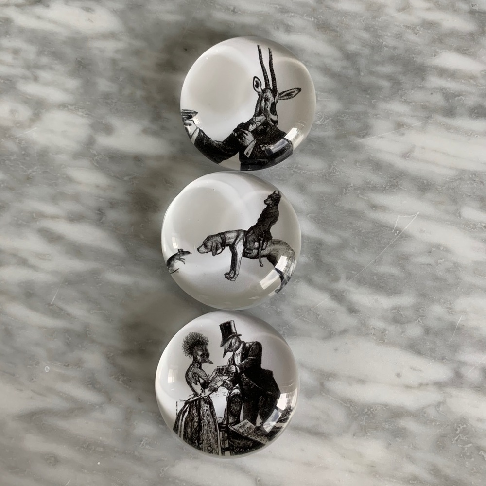3 glass magnets!